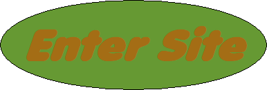Enter Site